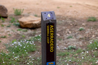Coyote Creek Campground